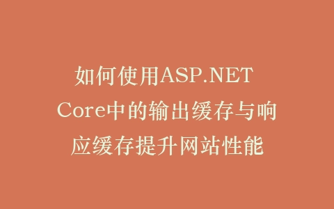 如何使用ASP.NET Core中的输出缓存与响应缓存提升网站性能插图