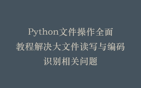 Python文件操作全面教程解决大文件读写与编码识别相关问题插图