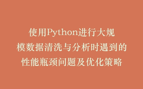 使用Python进行大规模数据清洗与分析时遇到的性能瓶颈问题及优化策略插图