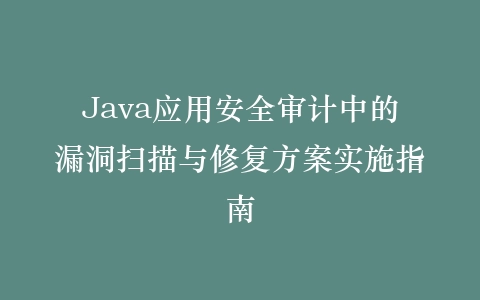 Java应用安全审计中的漏洞扫描与修复方案实施指南插图