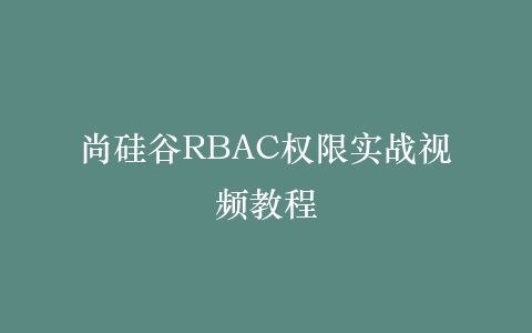 尚硅谷RBAC权限实战视频教程插图
