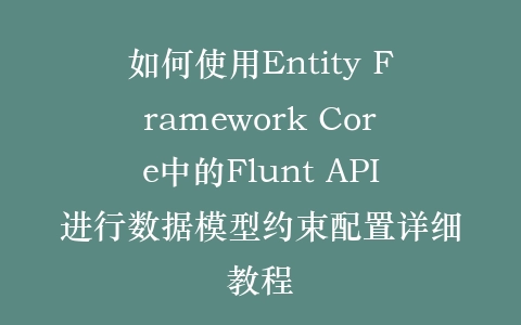 如何使用Entity Framework Core中的Flunt API进行数据模型约束配置详细教程插图