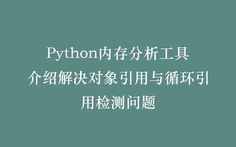 Python内存分析工具介绍解决对象引用与循环引用检测问题插图