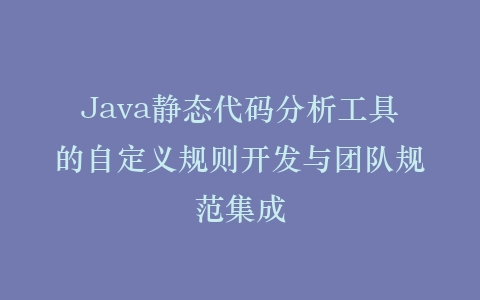 Java静态代码分析工具的自定义规则开发与团队规范集成插图