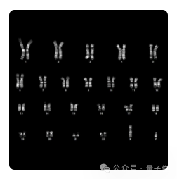 OpenAI首个蛋白质模型披露更多细节，改进诺奖研究成果，表达量提升50倍插图11